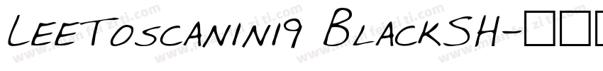 LeeToscanini9 BlackSH字体转换